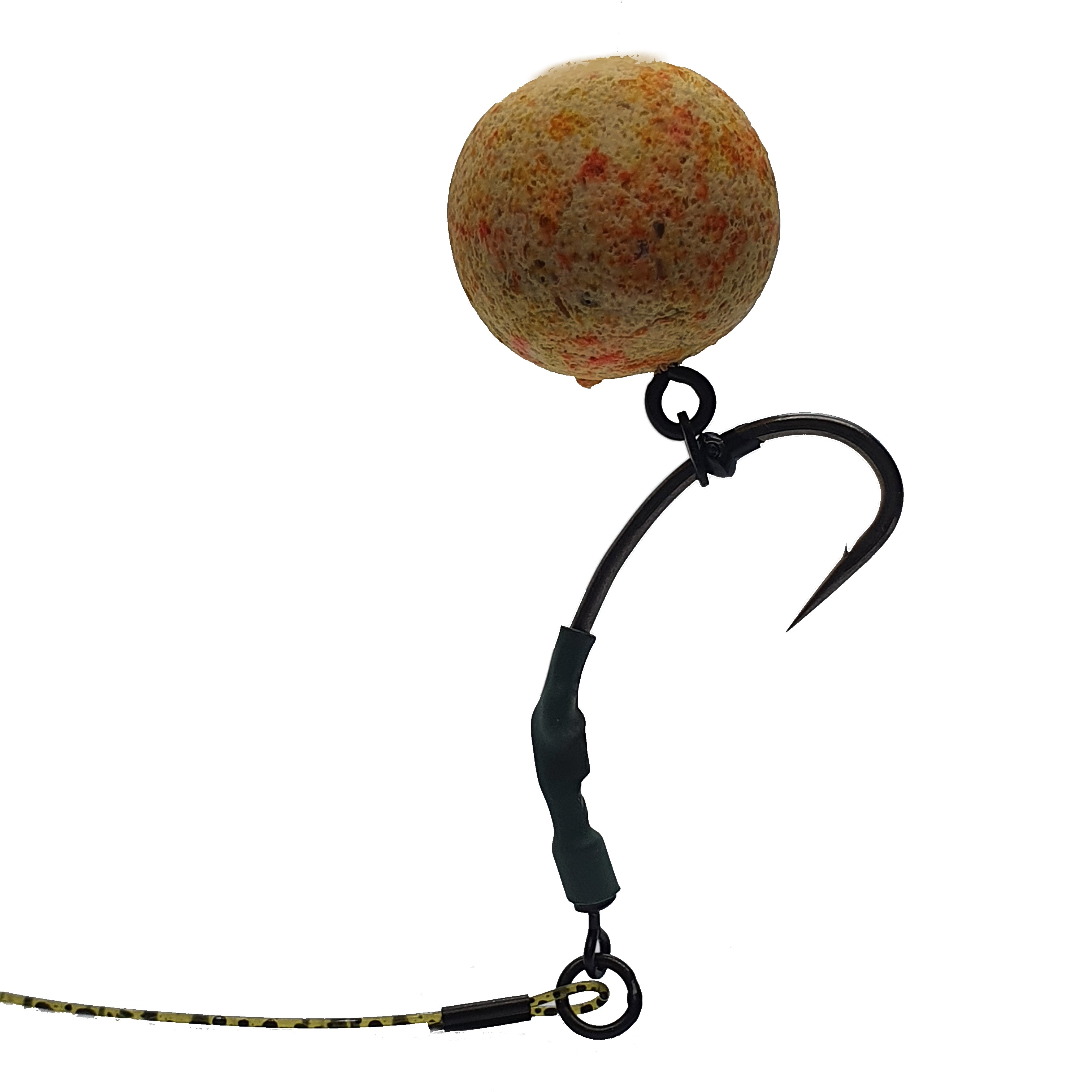 carp rig